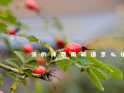 法的体系用英语怎么说 法的体系用英语怎么说