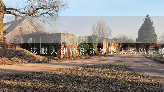 法眼大律师83岁老太离婚后续 法眼大律师83岁老太离婚后续