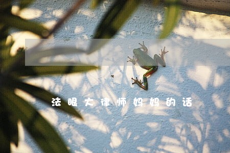 法眼大律师妈妈的话 法眼大律师妈妈的话