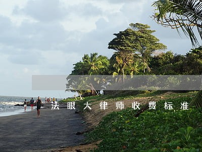 法眼大律师收费标准 法眼大律师收费标准