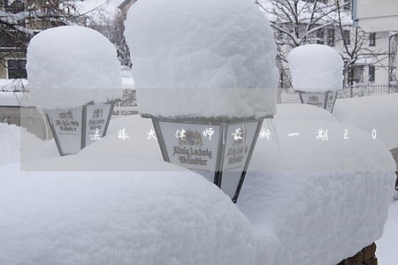 法眼大律师最新一期2022 法眼大律师最新一期2022