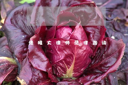 法眼大律师法律咨询 法眼大律师法律咨询