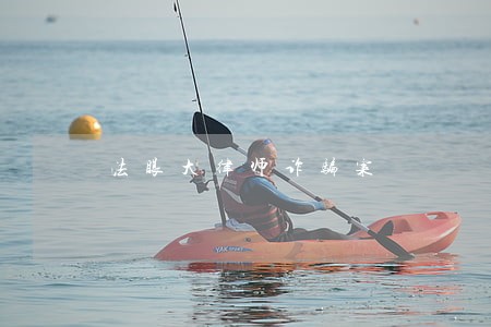 法眼大律师诈骗案 法眼大律师诈骗案
