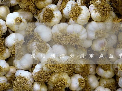 法硕刑法分则重点章节 法硕刑法分则重点章节