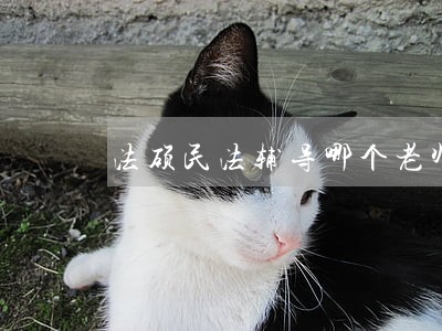 法硕民法辅导哪个老师讲得好 法硕民法辅导哪个老师讲得好