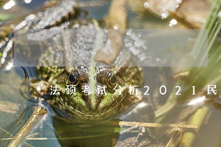 法硕考试分析2021民法pdf 法硕考试分析2021民法pdf