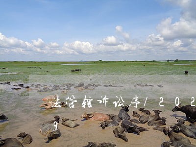 法管辖诉讼序/2023021057879
