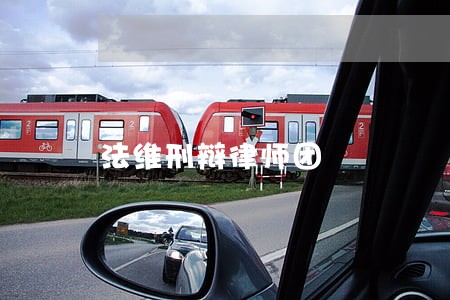 法维刑辩律师团 法维刑辩律师团