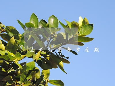 法考信用卡有逾期