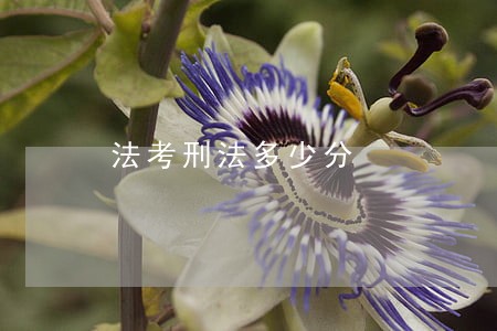 法考刑法多少分 法考刑法多少分