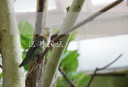 法考民法一二级知识点 法考民法一二级知识点