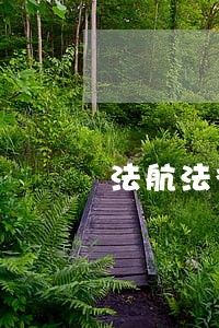 法航法律咨询 法航法律咨询