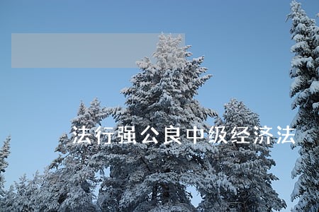 法行强公良中级经济法 法行强公良中级经济法