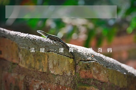 法规一建真题带页码 法规一建真题带页码