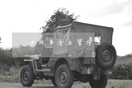 法规事务主管待遇 法规事务主管待遇