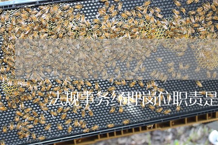 法规事务经理岗位职责是什么 法规事务经理岗位职责是什么
