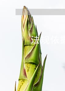 法规依据是什么