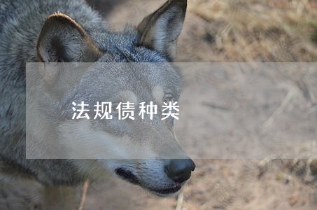 法规债种类 法规债种类