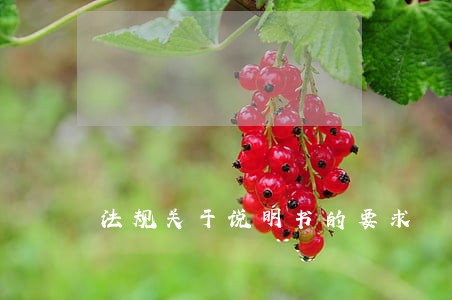 法规关于说明书的要求 法规关于说明书的要求