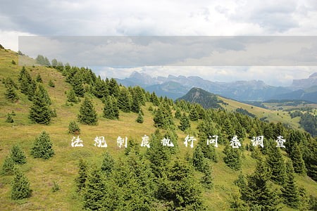 法规制度执行问卷调查 法规制度执行问卷调查