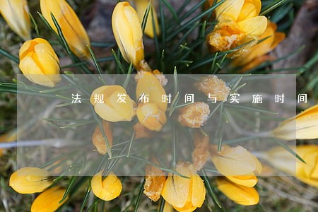 法规发布时间与实施时间 法规发布时间与实施时间