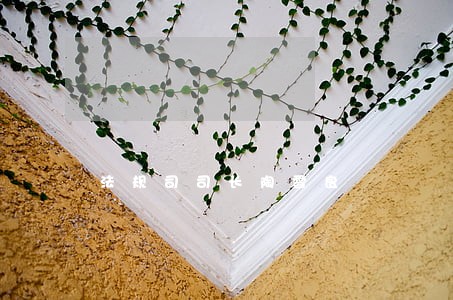 法规司司长陶雪良 法规司司长陶雪良