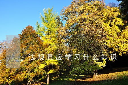 法规员应学习什么知识 法规员应学习什么知识