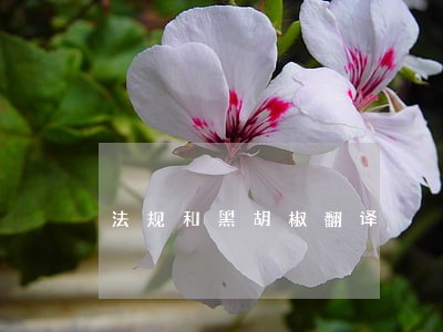 法规和黑胡椒翻译 法规和黑胡椒翻译