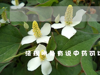 法规哪条有说中药可以调配西药 法规哪条有说中药可以调配西药