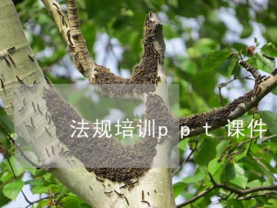 法规培训ppt课件 法规培训ppt课件