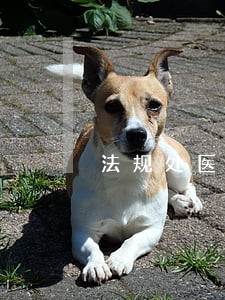 法规处医院 法规处医院