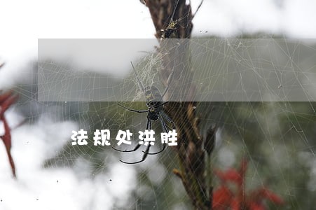 法规处洪胜 法规处洪胜