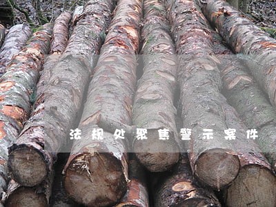 法规处聚焦警示案件 法规处聚焦警示案件