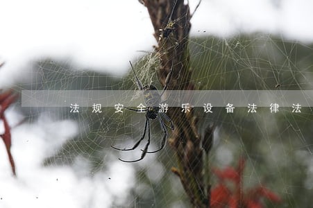 法规安全游乐设备法律法规 法规安全游乐设备法律法规