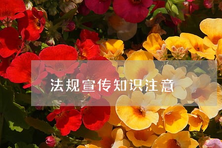 法规宣传知识注意