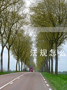 法规怎么定义直接口服中药饮片