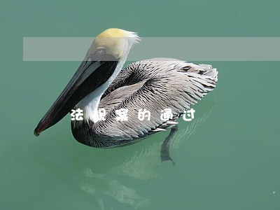 法规案的通过 法规案的通过