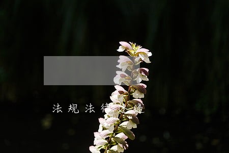 法规法律速递 法规法律速递