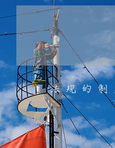 法规的制定主体是 法规的制定主体是