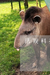 法规科亮点工作