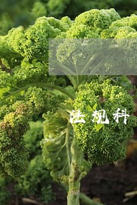法规科负责有关法律法规