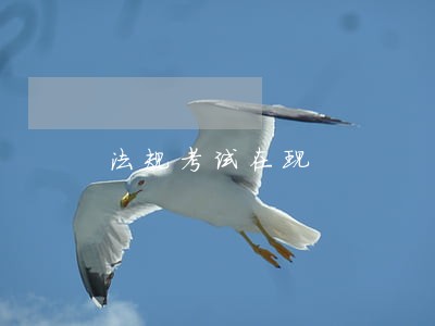 法规考试在现 法规考试在现
