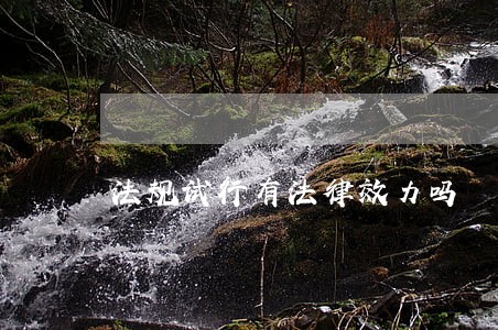 法规试行有法律效力吗 法规试行有法律效力吗