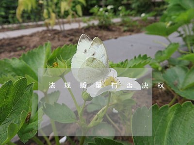 法规质量有否决权 法规质量有否决权