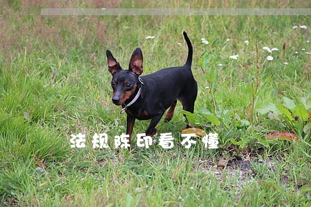 法规陈印看不懂 法规陈印看不懂