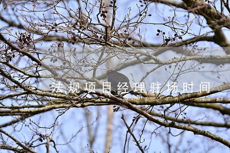 法规项目经理驻场时间 法规项目经理驻场时间