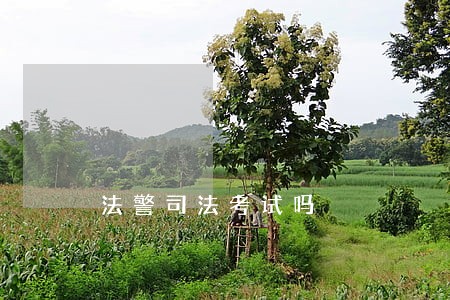 法警司法考试吗 法警司法考试吗