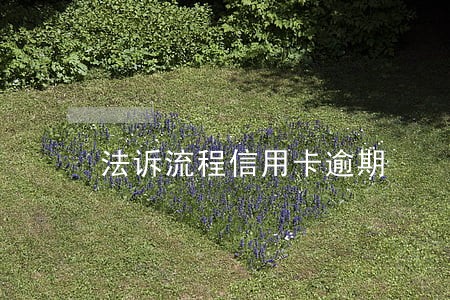法诉流程信用卡逾期 法诉流程信用卡逾期