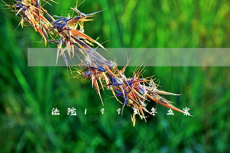 法院1993年立案