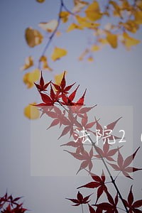 法院20xx年以来工作情况汇报 法院20xx年以来工作情况汇报